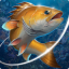 Fishing Hook 2.4.2 (Unlimited Money)