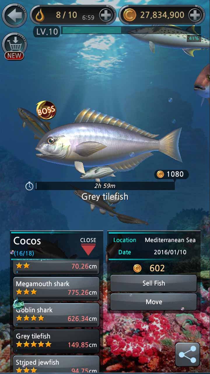 Fishing Hook Mod Apk 2.4.3 (Unlimited Money) For Android