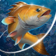 Fishing Hook MOD APK 2.4.3 (Unlimited Money)