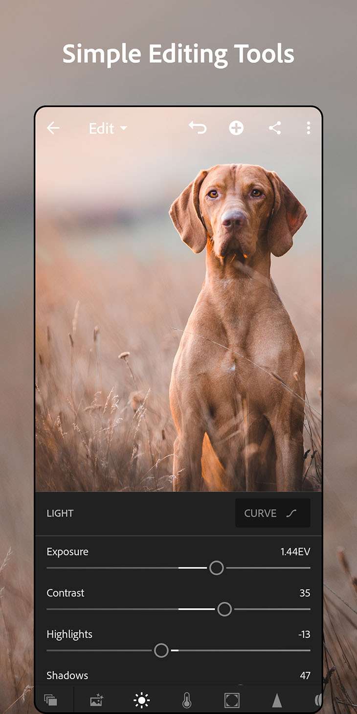 Adobe Lightroom mobile screenshot