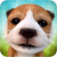 Dog Simulator 2.2.3 (Unlimited money)