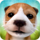 Dog Simulator MOD APK 2.2.3 (Unlimited money)