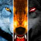 Wolf Online MOD APK 3.5.0 (Unlimited Points)