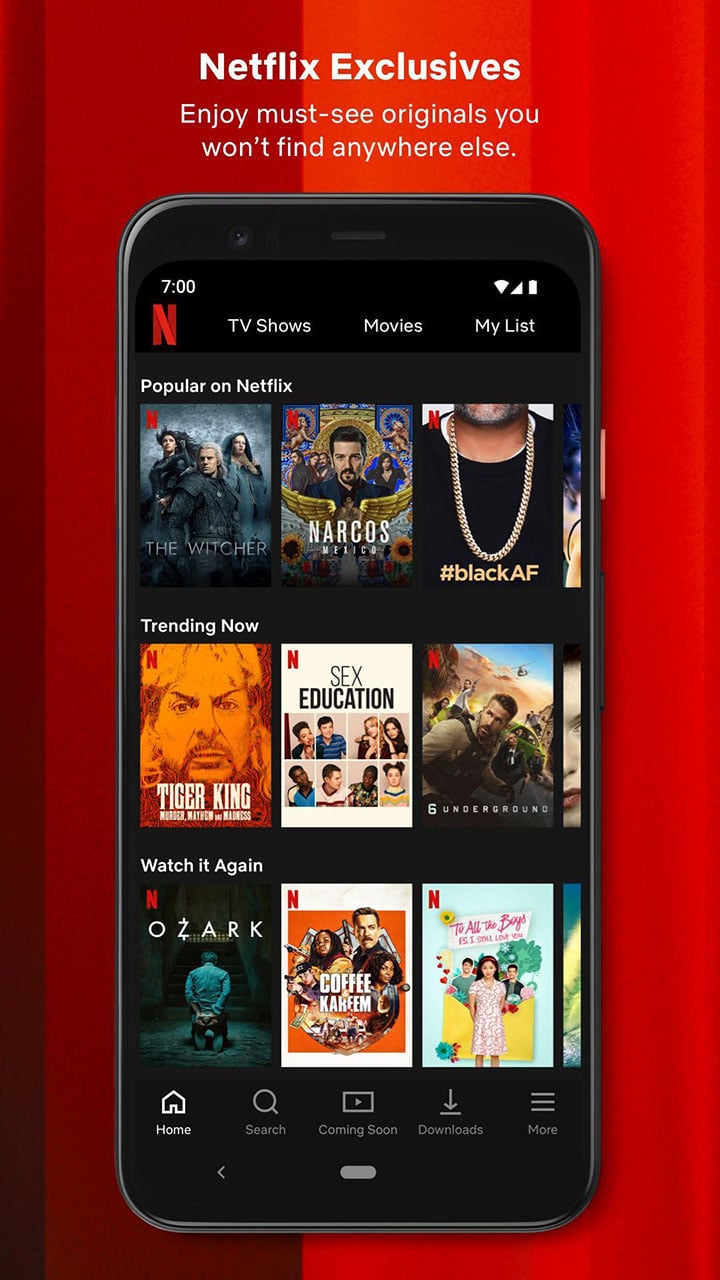 Netflix screen 1