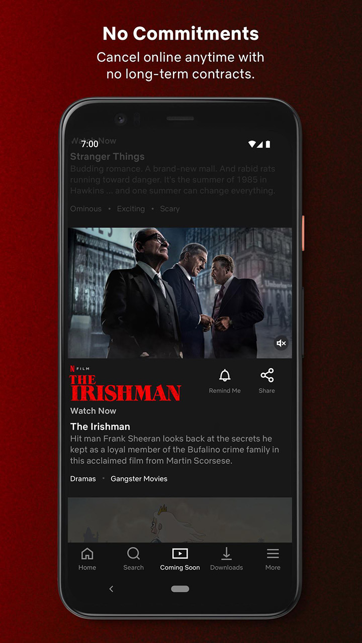 Netflix screen 4