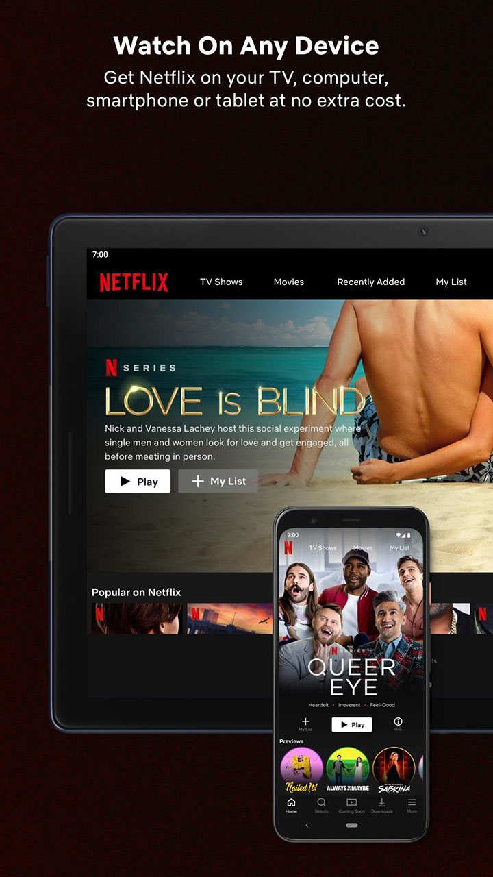 Netflix screen 5