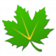 Greenify MOD APK 4.7.5 (Unlocked)