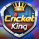 Cricket King APK 2.1.1.38