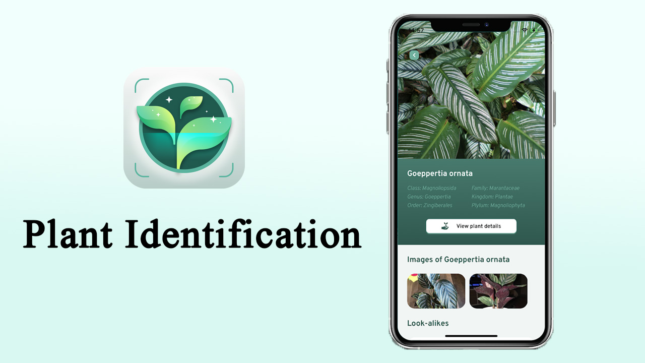 Plant Identification MOD APK 2.3 (Premium Unlocked) for Android