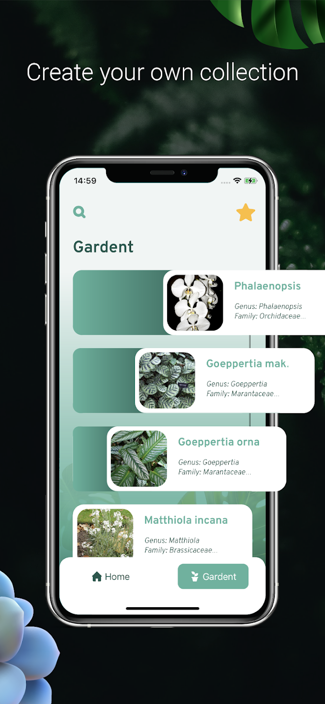 Plant Identification screen 4